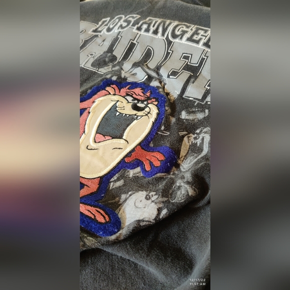 SUPER RARE OLD VINTAGE 1993 RAIDERS TAZ STITCHED EMBROIDERED NFL WARNER BROTHERS - Picture 6 of 7